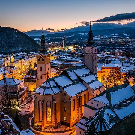 Komfortny Apartman So Zahradou A Sukromnym Parkoviskom-Nonstop Check-In Banská Bystrica Eksteriør bilde